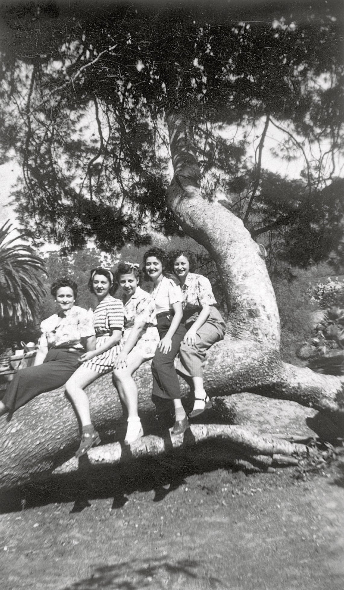 Five women sit side by side on a large, curved tree branch outdoors, posing for a black-and-white photograph with leafy trees and shrubs in the background.