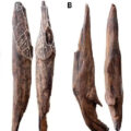 Pleistocene wood tools