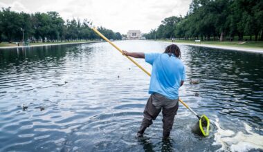 Algae forms in the Reflecting Pool. ‘It’s residual,“ Trump officials say. - The Washington Post