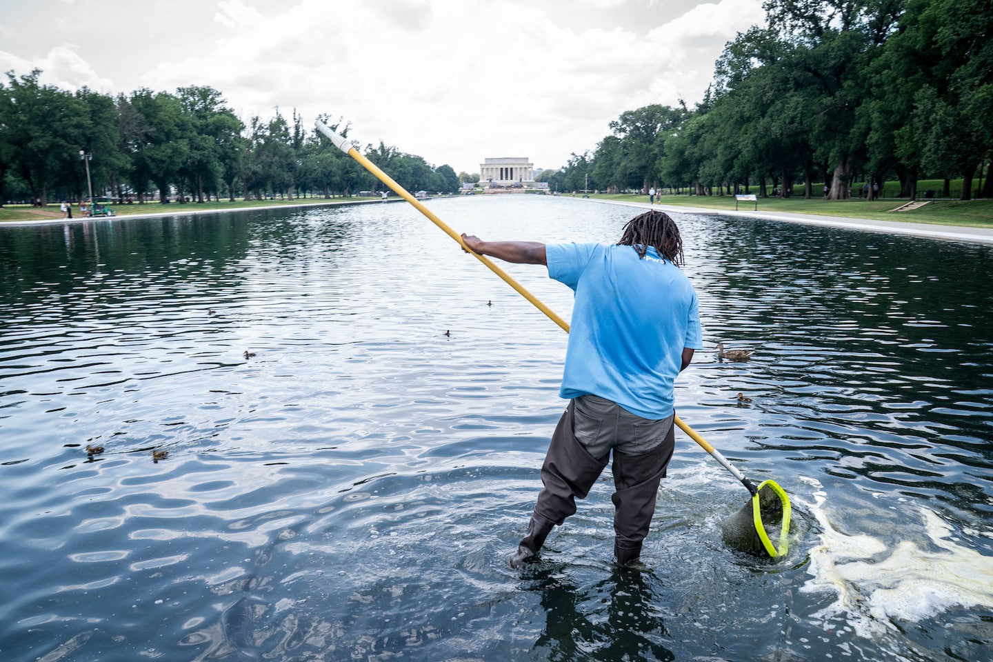 Algae forms in the Reflecting Pool. ‘It’s residual,“ Trump officials say. - The Washington Post