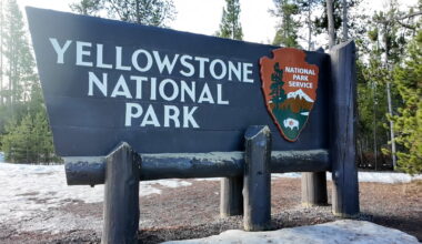 Yellowstone sees record-breaking May visitation as Grand Teton announces major tourism investment - LocalNews8.com