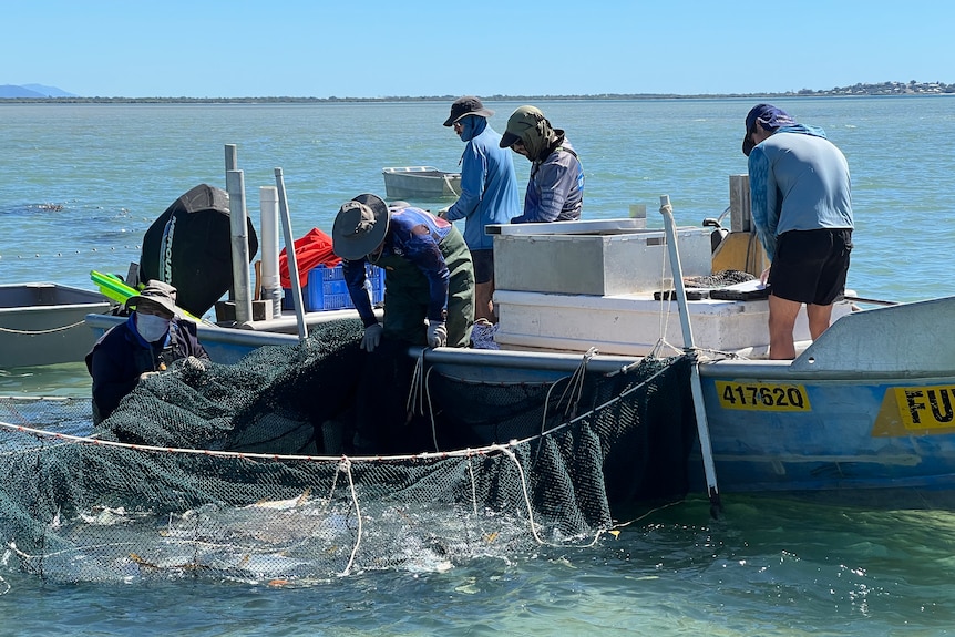 A group of five men in a small metal boat sort through fish in a net.