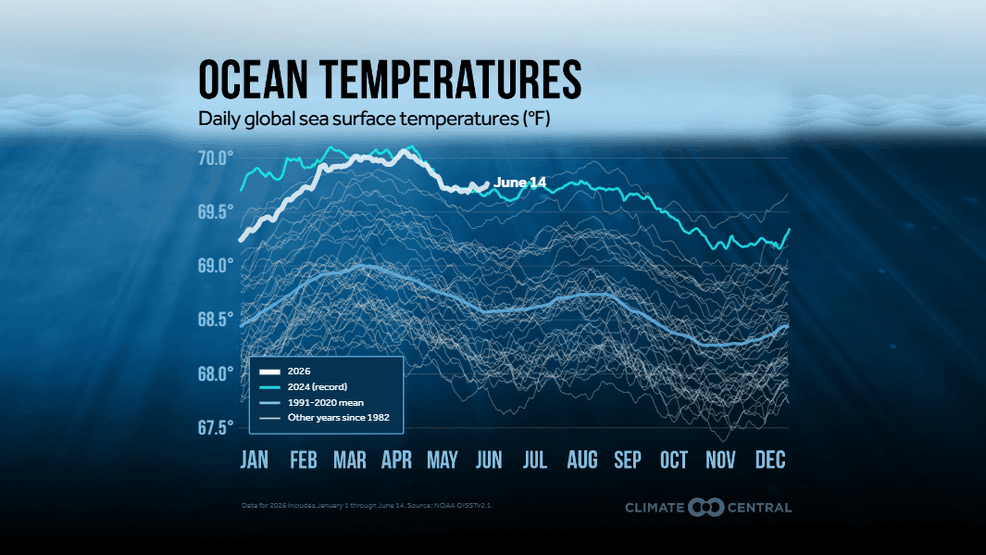 Global ocean temperatures (Climate Central).