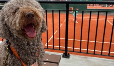 Copain the dog - Roland-Garros 2026