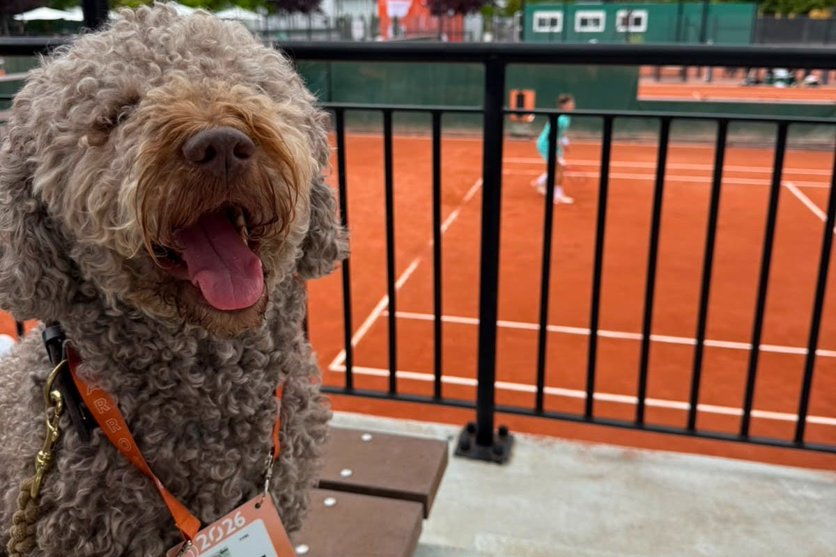 Copain the dog - Roland-Garros 2026