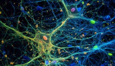 Neuroscience News logo for mobile.