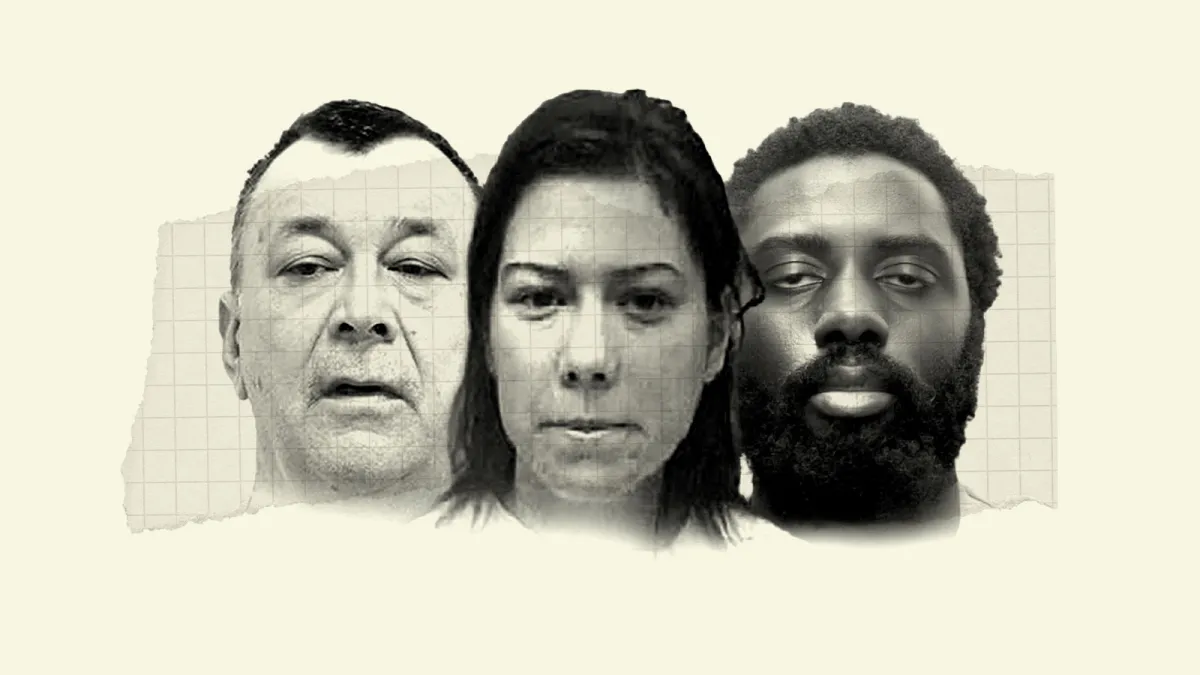 Almost all mentally ill killers known to health services and police - The Times
