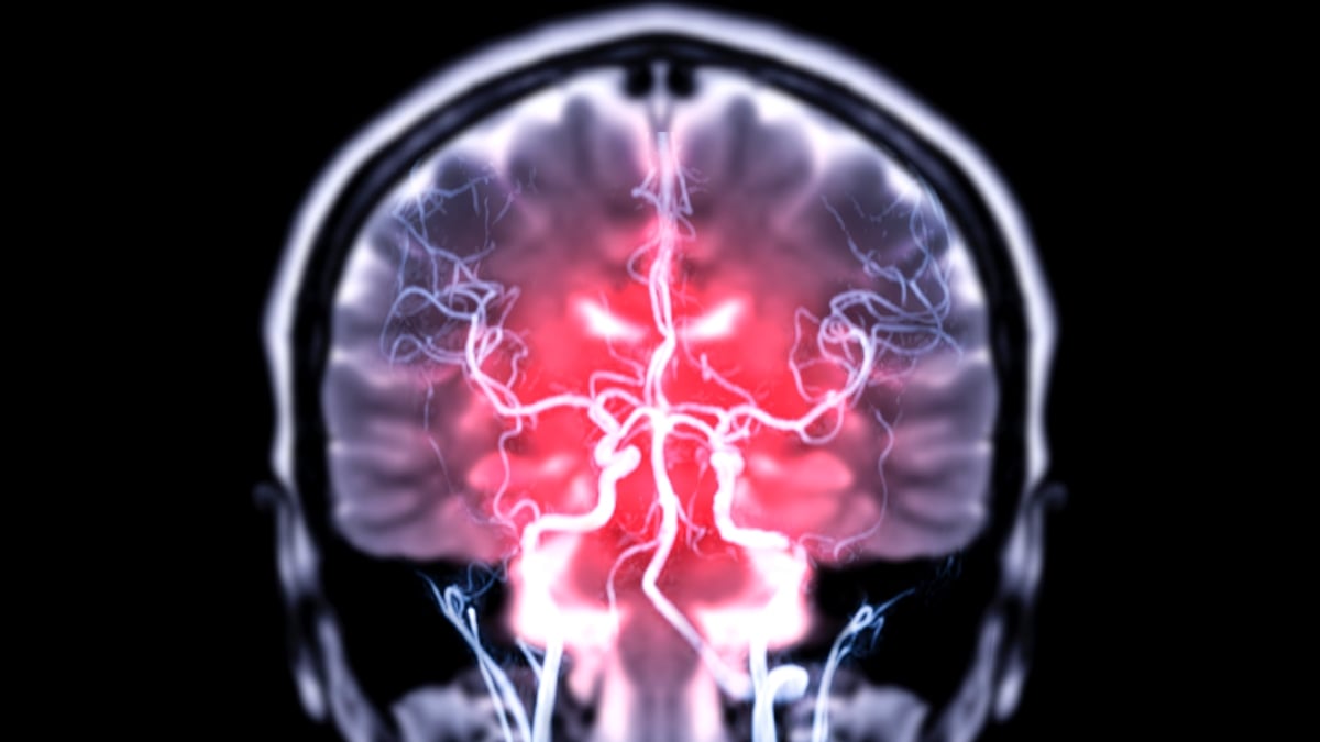 One Brain Chemical May Be Key to Breaking a Habit, Study Finds : ScienceAlert