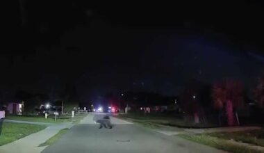 FMPD and FWC on the hunt for a bear in Fort Myers