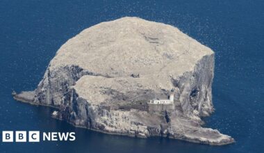 RSPB buys Bass Rock after 300 years in private hands - BBC