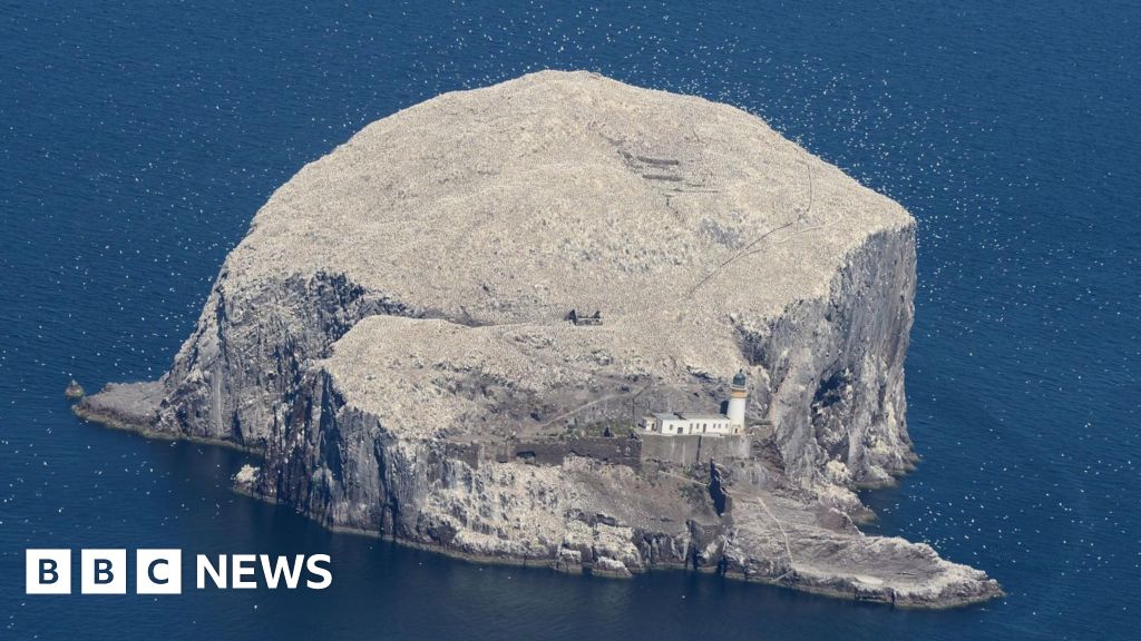 RSPB buys Bass Rock after 300 years in private hands - BBC