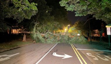 Strong overnight storms topple trees, knock out power for hundreds in Granville County :: WRAL.com