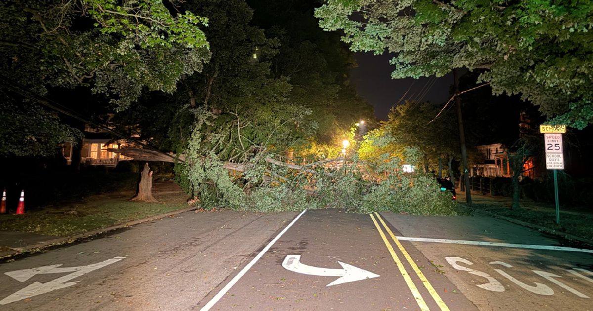 Strong overnight storms topple trees, knock out power for hundreds in Granville County :: WRAL.com