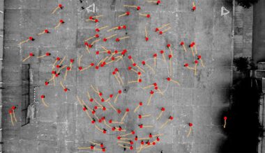 Scientists Discover a Strange Global Pattern in The Way Humans Walk