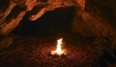 Human Ancestors May Have Used Fire Far Earlier Than We Thought, Study Reveals : ScienceAlert