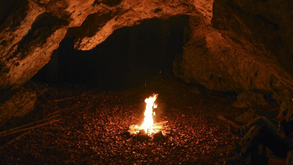 Human Ancestors May Have Used Fire Far Earlier Than We Thought, Study Reveals : ScienceAlert