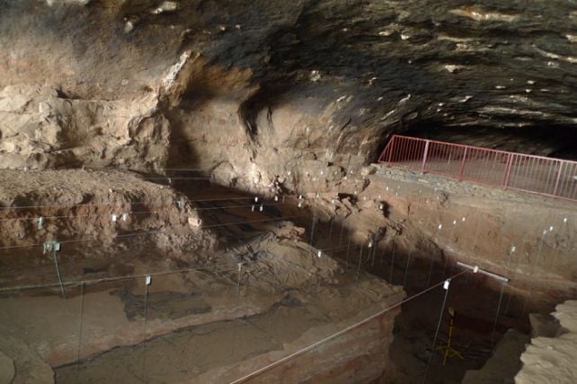 Human Ancestors May Have Been Using Fire Much Earlier Than We Thought