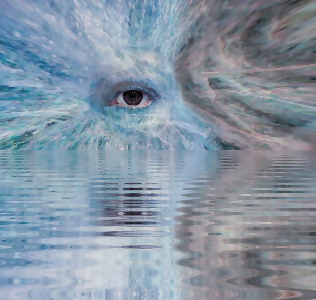 The Universe Might Be Teeming with Strange Forms of Consciousness