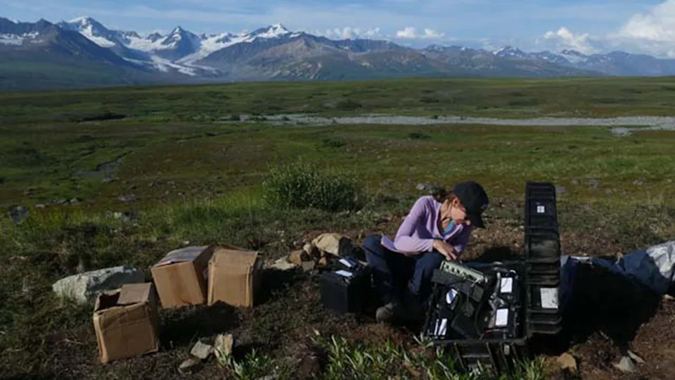 A woman sits in a grassy landscape with a series of boxes and equipment around her, with snowy mountains seen in the background