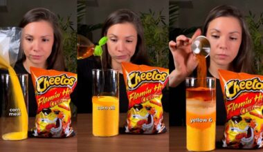 Cheetotube