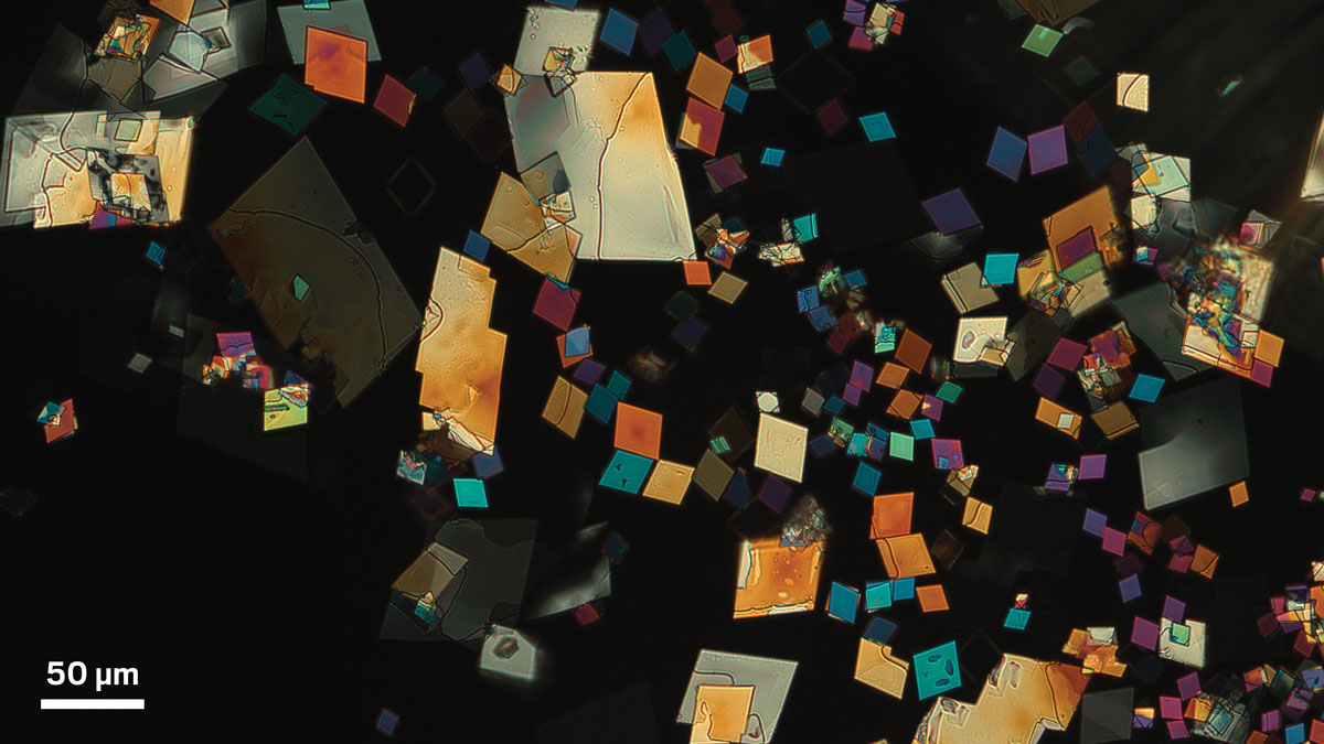 Chemistry in Pictures: Quantum carbenes