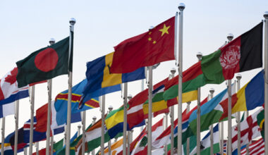 A group of international flags from various countries are displayed on flagpoles against a clear sky, reflecting the global reach of a corporate law office specializing in litigation support.