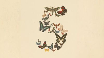claude fable 5