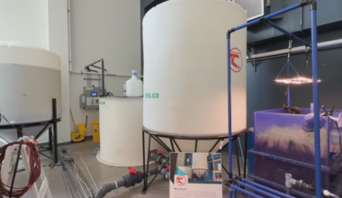 Colorado's first rainwater harvesting pilot moves to water court, researchers look to the practice amid drought