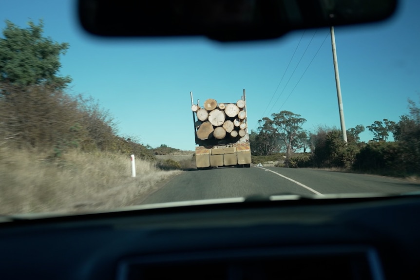 A photo shot from through the windshield of a car of a country road. Ahead is the back of a truck loaded with large logs.