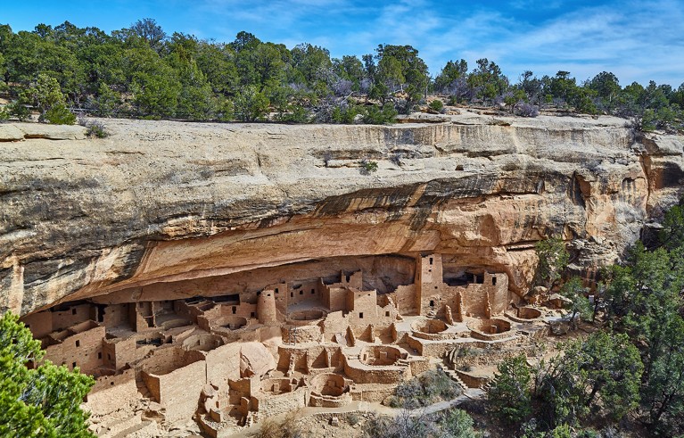 Ancient cliff dwellings built into a sandstone overhang surrounded by green trees under a blue sky.