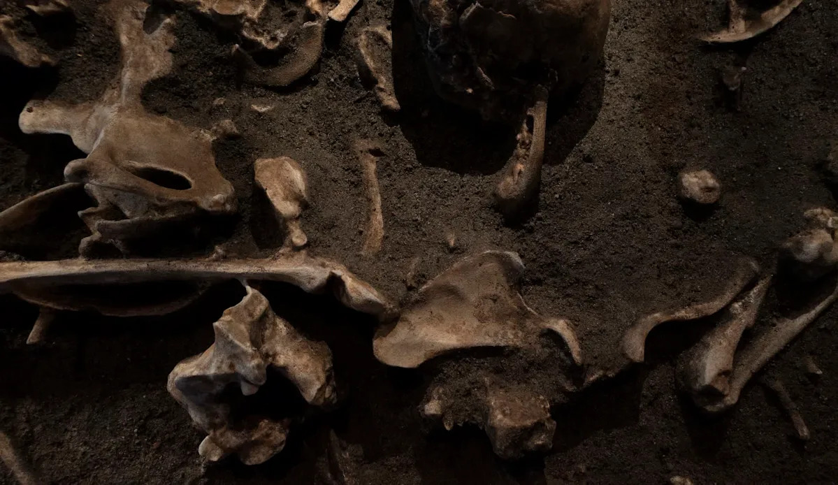 Scientists find scorched bones deep inside South African cave, suggesting early humans tended fire nearly 1.8 million years ago