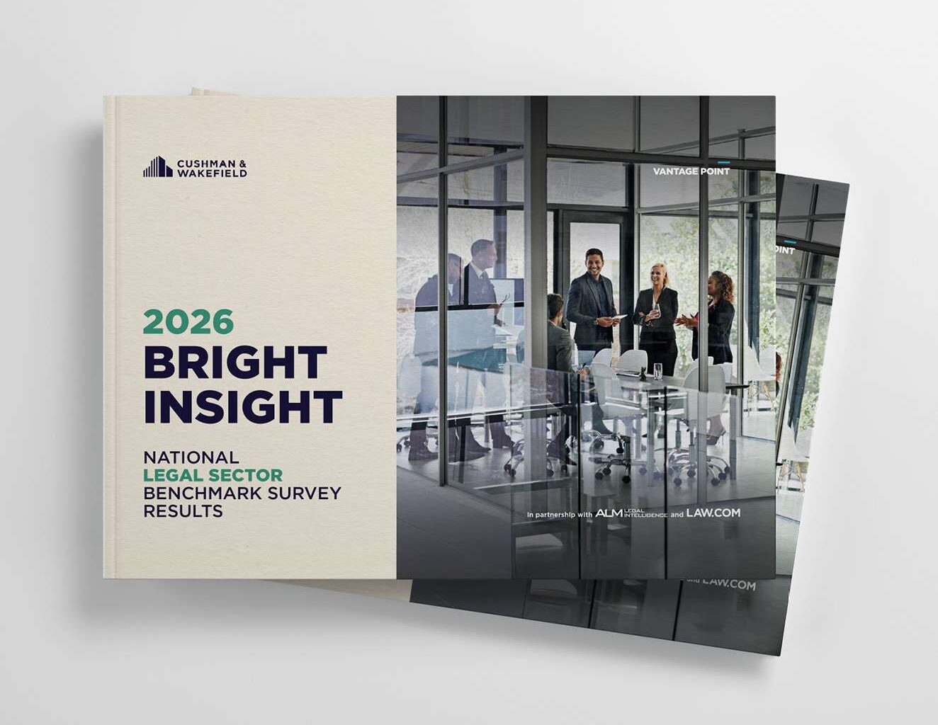 bright insight web thumbnail