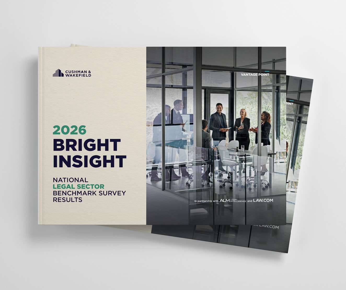 bright insight web thumbnail