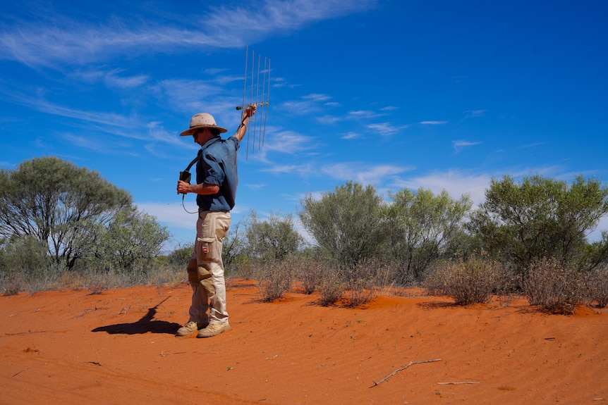 A man standing in the desert holding an antenna.