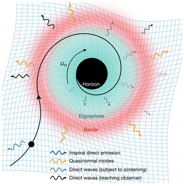 Scientists Report First Direct Signs of a Black Hole Horizon in Gravitational Waves