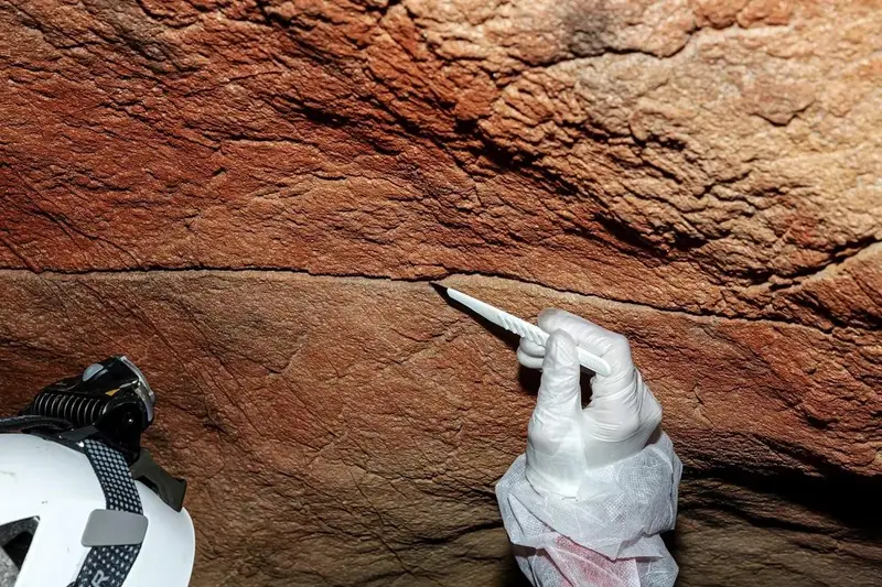 Ancient human DNA found preserved on cave walls for thousands of years, study finds
