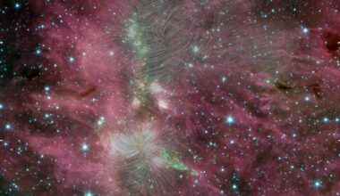 This Spitzer Space Telescope image shows the DR21 star-forming region, a large molecular hydrogen cloud about 6,000 light years away. DR21 forms stars rapidly, and new research shows how magnetic fields funnel gas into the region. The magnetic field lines in this image are from the now-ended SOFIA mission. Image Credit: T. Pillai/SOFIA/NASA and J. Kauffmann/JPL-Caltech/NASA