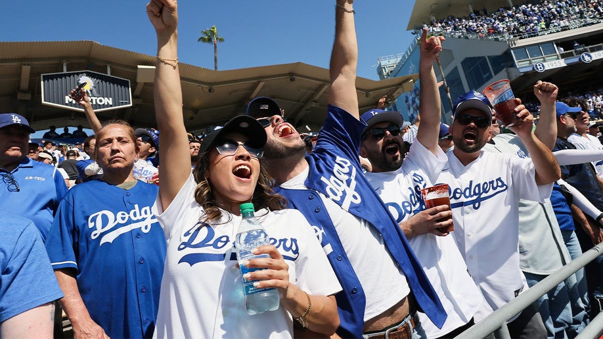 MLB fans