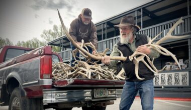 Mike Bosworth (left) unloads the antlers he is selling to Roy Rasmussen, who will then re-sell the antlers throughout the year.