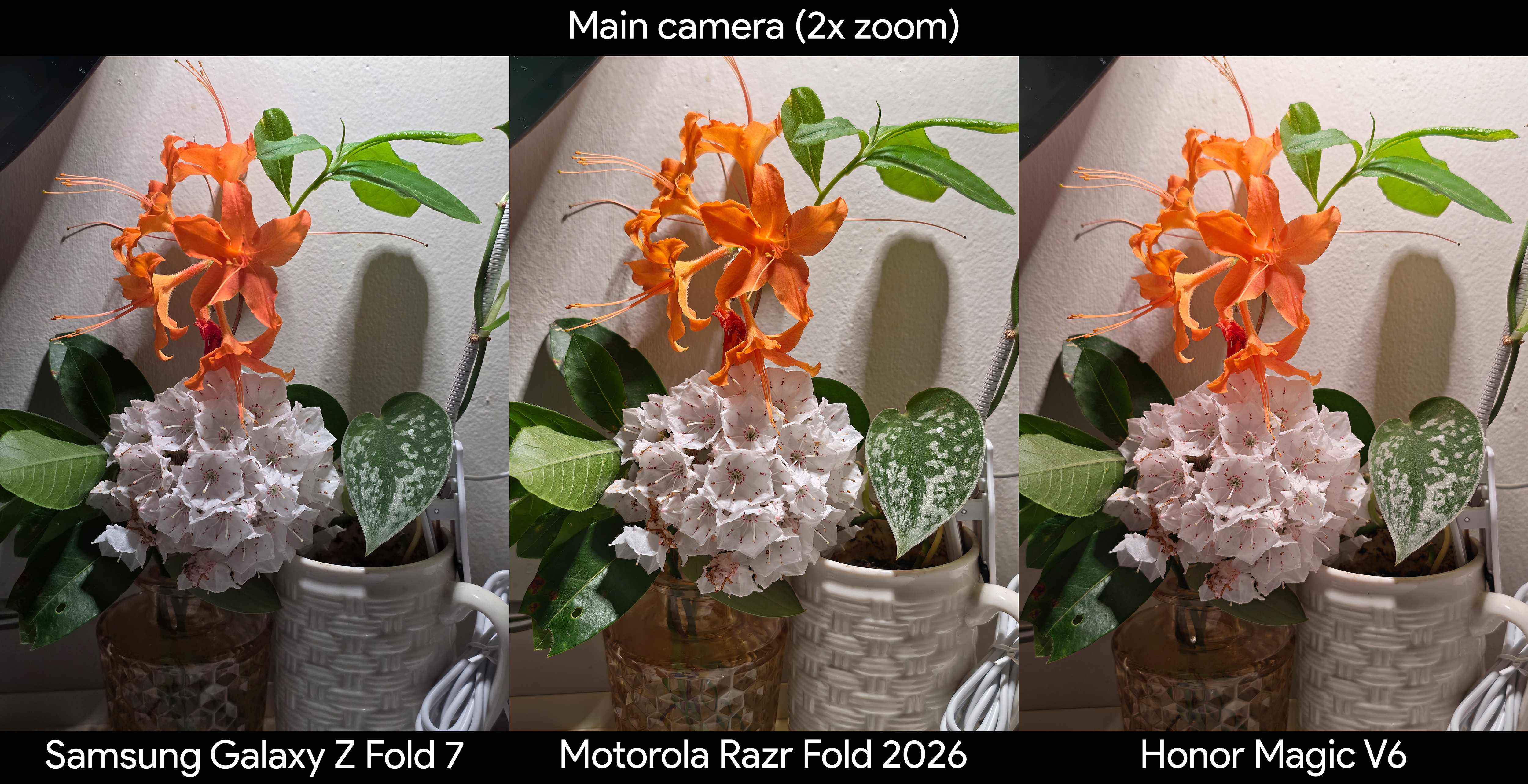 Comparing camera quality between the Motorola Razr Fold 2026, Honor Magic V6, and Samsung Galaxy Z Fold 7