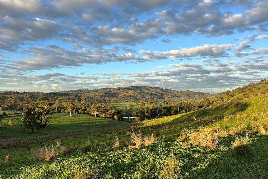 Rolling green hills under a cloudy sky