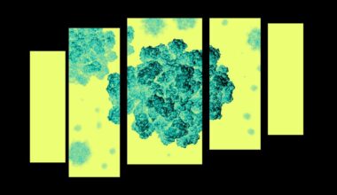 How to Stay Safe as Norovirus Cases Surge This Summer, According to Doctors
