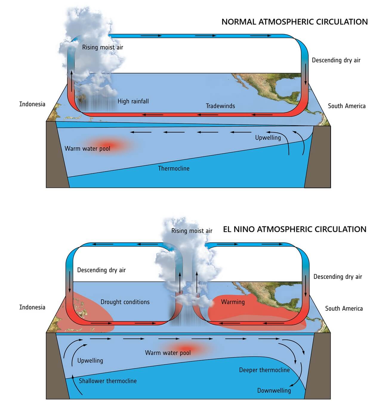 el-nino-ocean-surface-temperature-anomaly-pacific-north-america-atmospheric-weather-bridge-united-states-walker-cell-schematic-2026