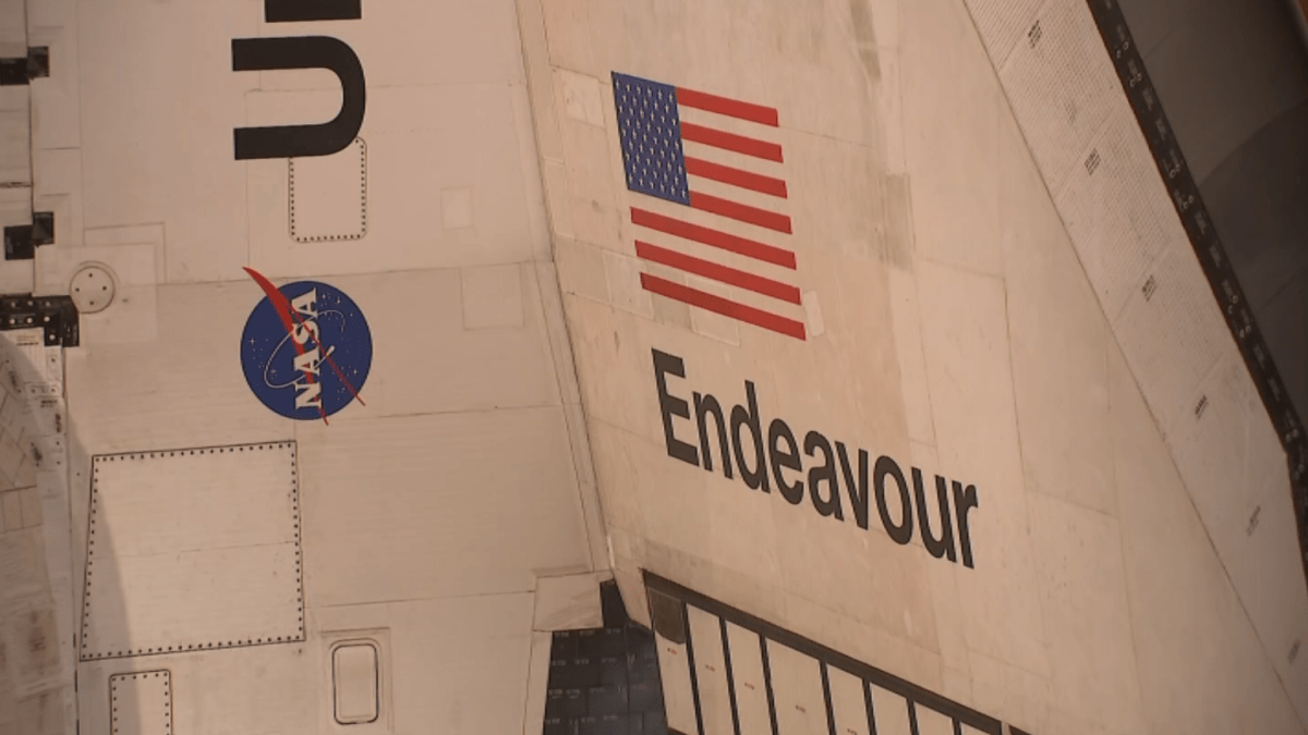 First look at the Endeavour Space Shuttle at the California Science Center – NBC Los Angeles
