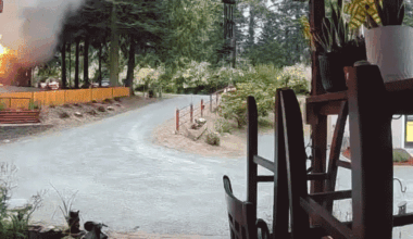 Fireworks explosion gif