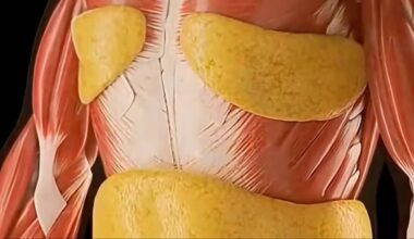 Mind-blowing simulation shows extreme impact that fasting for 36 hours has on your body