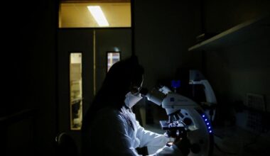 Older drug reprograms white blood cells, improves blood sugar in type 1 diabetes