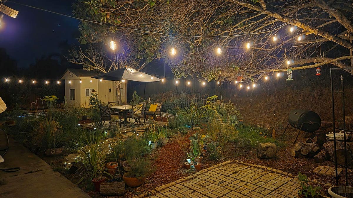 Screencaps reader Jim T in San Diego shares his backyard garden.