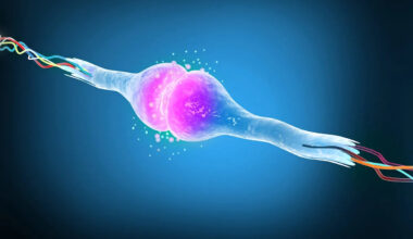 Scientists Are Attempting to Reprogram Old Human Cells to Be Young Again