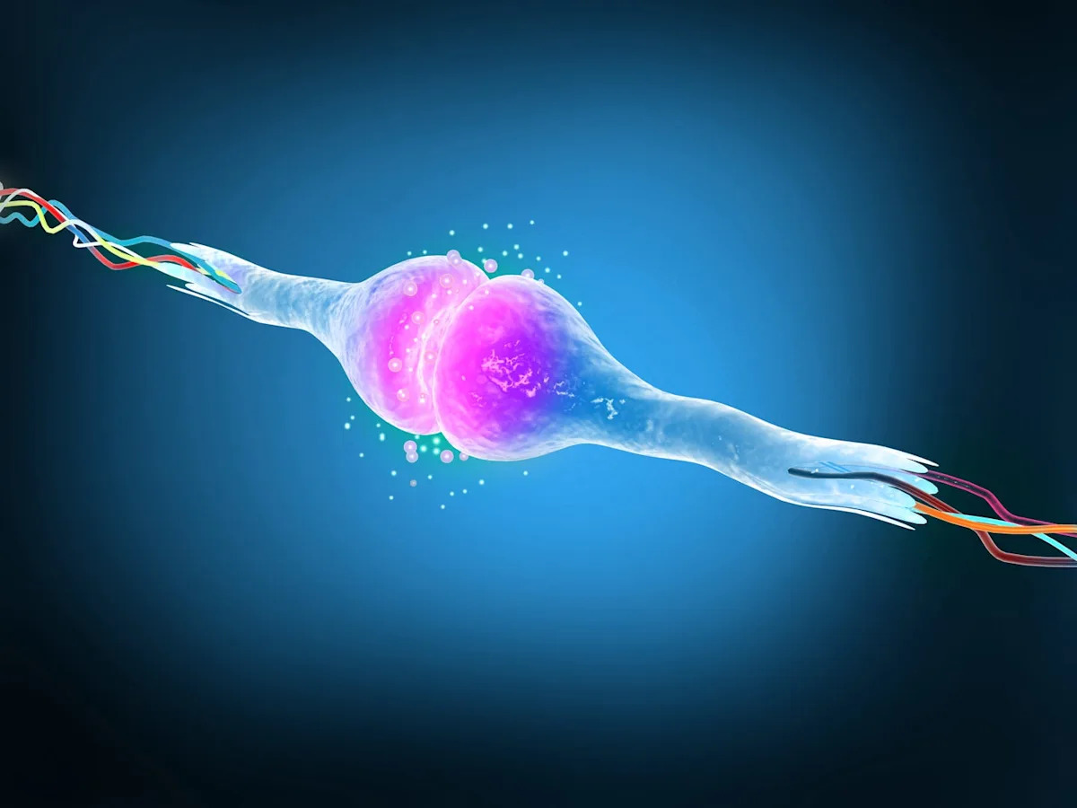 Scientists Are Attempting to Reprogram Old Human Cells to Be Young Again